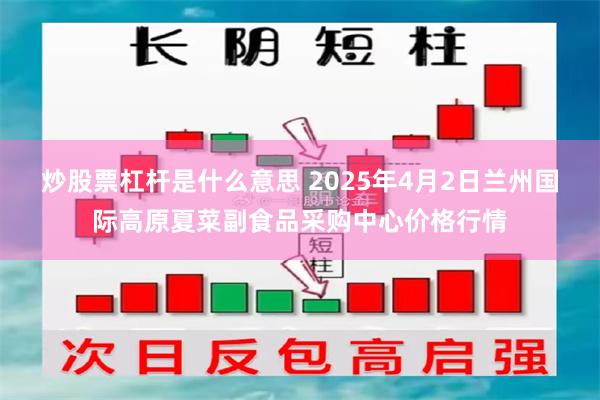 炒股票杠杆是什么意思 2025年4月2日兰州国际高原夏菜副食品采购中心价格行情