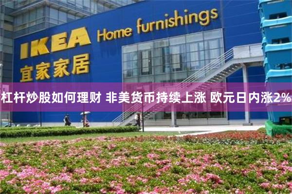 杠杆炒股如何理财 非美货币持续上涨 欧元日内涨2%