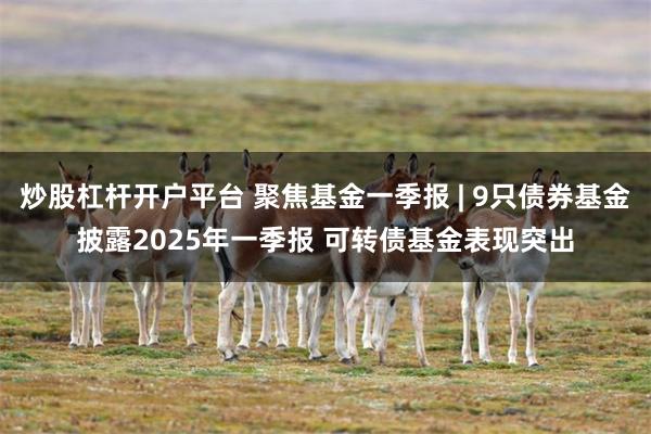 炒股杠杆开户平台 聚焦基金一季报 | 9只债券基金披露2025年一季报 可转债基金表现突出