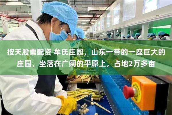 按天股票配资 牟氏庄园，山东一带的一座巨大的庄园，坐落在广阔的平原上，占地2万多亩