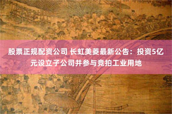 股票正规配资公司 长虹美菱最新公告：投资5亿元设立子公司并参与竞拍工业用地