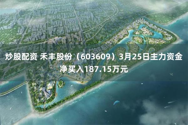 炒股配资 禾丰股份（603609）3月25日主力资金净买入187.15万元