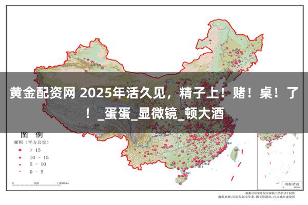 黄金配资网 2025年活久见，精子上！赌！桌！了！_蛋蛋_显微镜_顿大酒