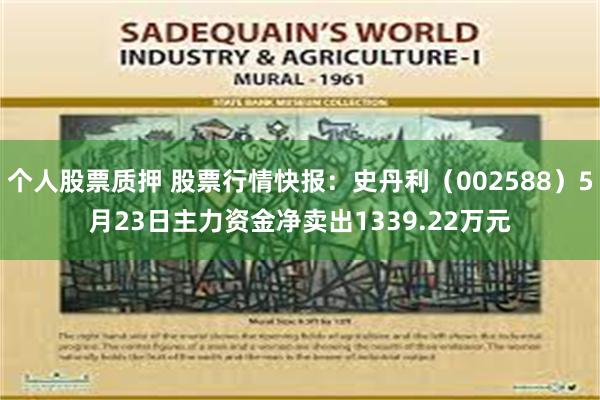 个人股票质押 股票行情快报：史丹利（002588）5月23日主力资金净卖出1339.22万元