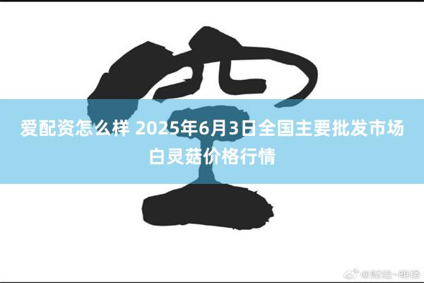 爱配资怎么样 2025年6月3日全国主要批发市场白灵菇价格行情