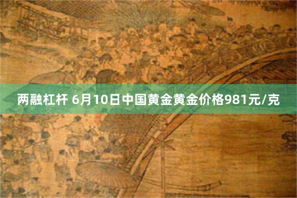 两融杠杆 6月10日中国黄金黄金价格981元/克