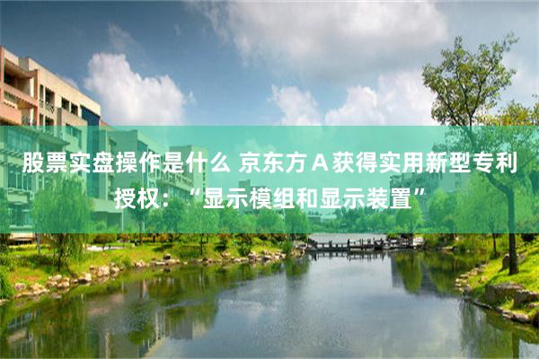 股票实盘操作是什么 京东方Ａ获得实用新型专利授权：“显示模组和显示装置”