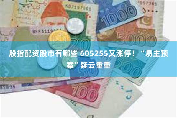 股指配资股市有哪些 605255又涨停！“易主预案”疑云重重