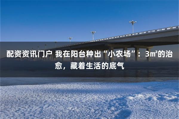 配资资讯门户 我在阳台种出“小农场”：3㎡的治愈，藏着生活的底气