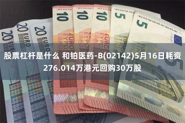 股票杠杆是什么 和铂医药-B(02142)5月16日耗资276.014万港元回购30万股