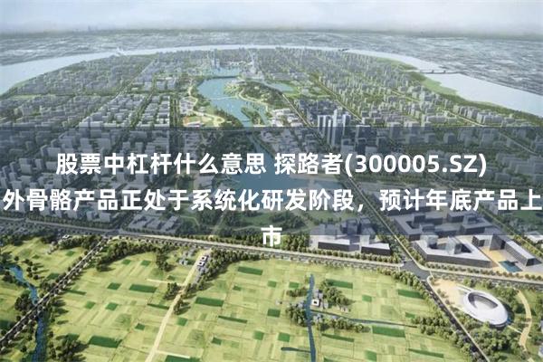 股票中杠杆什么意思 探路者(300005.SZ)：外骨骼产品正处于系统化研发阶段，预计年底产品上市