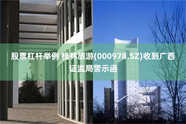 股票杠杆举例 桂林旅游(000978.SZ)收到广西证监局警示函