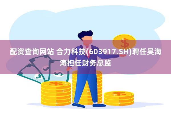 配资查询网站 合力科技(603917.SH)聘任吴海涛担任财务总监
