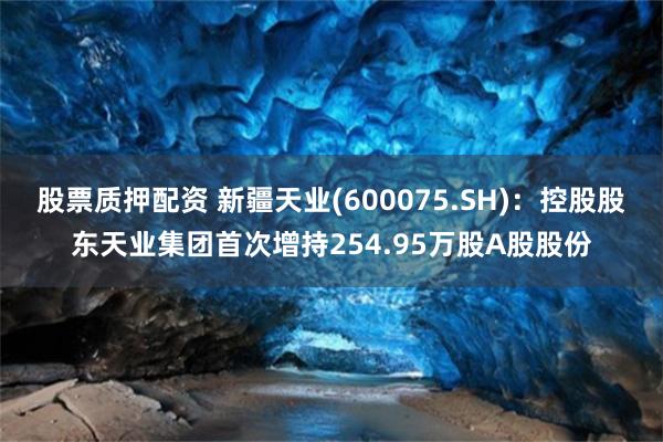 股票质押配资 新疆天业(600075.SH)：控股股东天业集团首次增持254.95万股A股股份