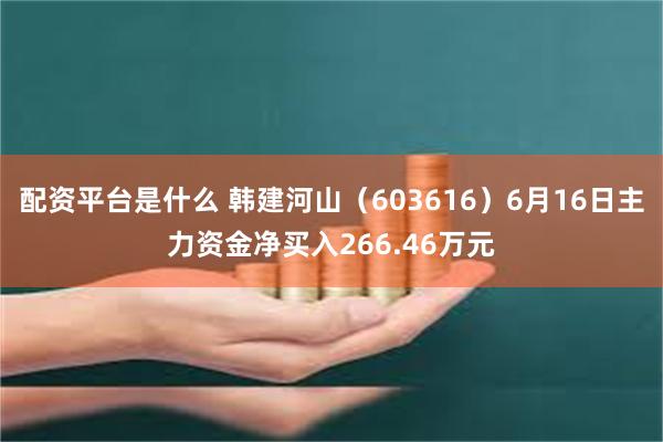 配资平台是什么 韩建河山（603616）6月16日主力资金净买入266.46万元