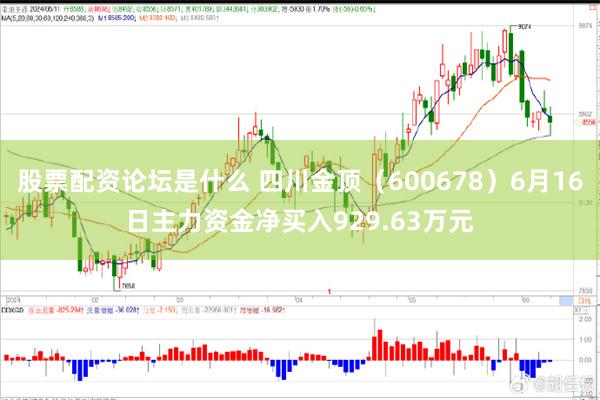 股票配资论坛是什么 四川金顶（600678）6月16日主力资金净买入929.63万元