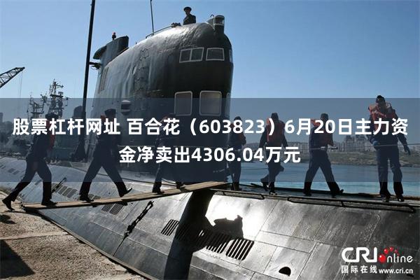 股票杠杆网址 百合花（603823）6月20日主力资金净卖出4306.04万元