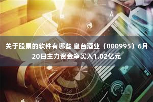 关于股票的软件有哪些 皇台酒业（000995）6月20日主力资金净买入1.02亿元