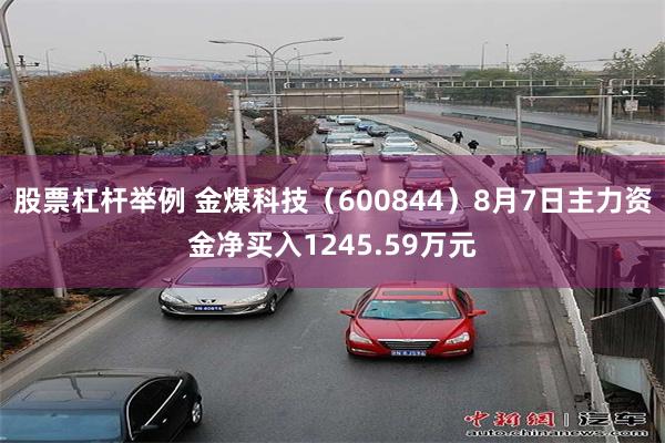 股票杠杆举例 金煤科技（600844）8月7日主力资金净买入1245.59万元