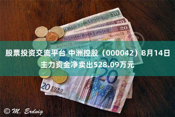 股票投资交流平台 中洲控股(000042)8月14日主力资金净卖出528.09万元