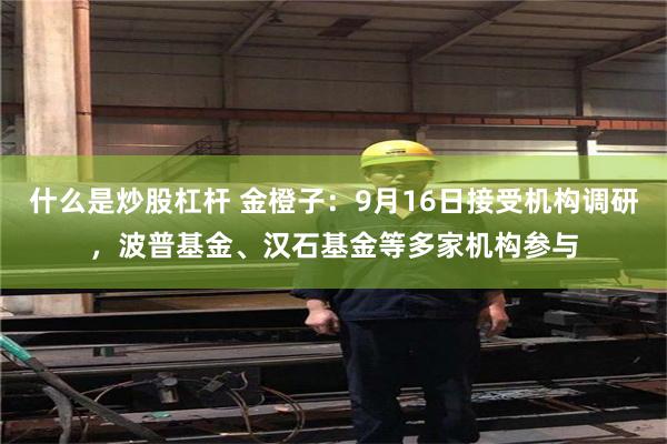 什么是炒股杠杆 金橙子：9月16日接受机构调研，波普基金、汉石基金等多家机构参与