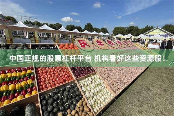 中国正规的股票杠杆平台 机构看好这些资源股！