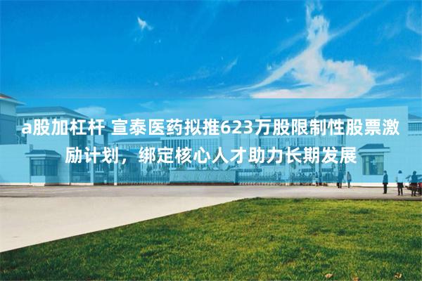 a股加杠杆 宣泰医药拟推623万股限制性股票激励计划，绑定核心人才助力长期发展