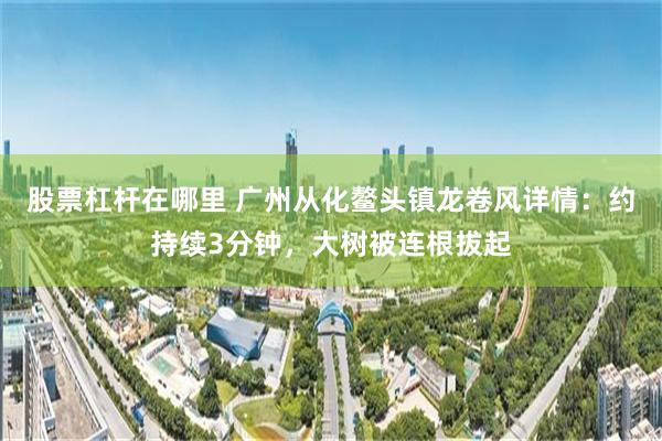 股票杠杆在哪里 广州从化鳌头镇龙卷风详情:约持续3分钟,大树被连根拔起