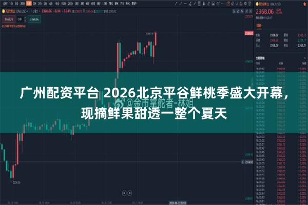 广州配资平台 2026北京平谷鲜桃季盛大开幕，现摘鲜果甜透一整个夏天