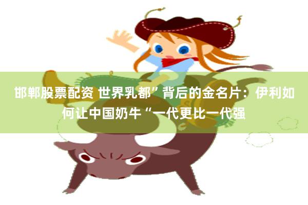 邯郸股票配资 世界乳都”背后的金名片：伊利如何让中国奶牛“一代更比一代强