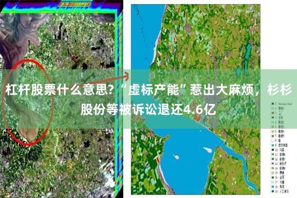 杠杆股票什么意思? “虚标产能”惹出大麻烦，杉杉股份等被诉讼退还4.6亿