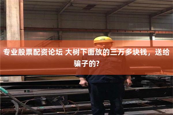 专业股票配资论坛 大树下面放的三万多块钱，送给骗子的?