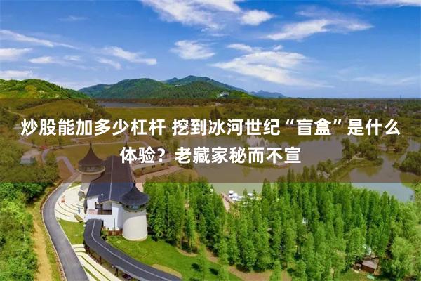 炒股能加多少杠杆 挖到冰河世纪“盲盒”是什么体验？老藏家秘而不宣