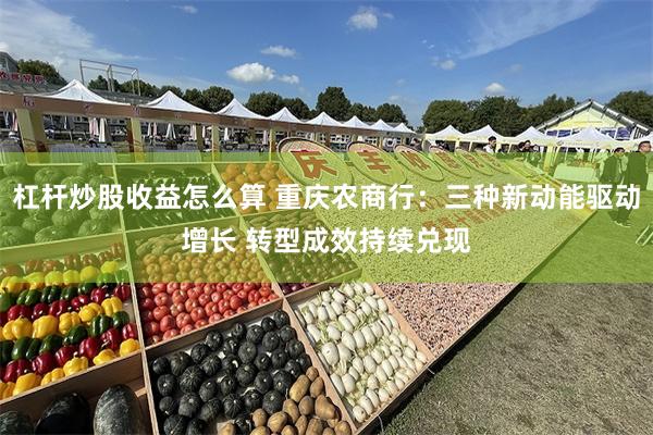 杠杆炒股收益怎么算 重庆农商行：三种新动能驱动增长 转型成效持续兑现