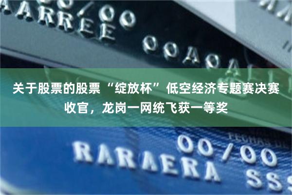 关于股票的股票 “绽放杯” 低空经济专题赛决赛收官，龙岗一网统飞获一等奖